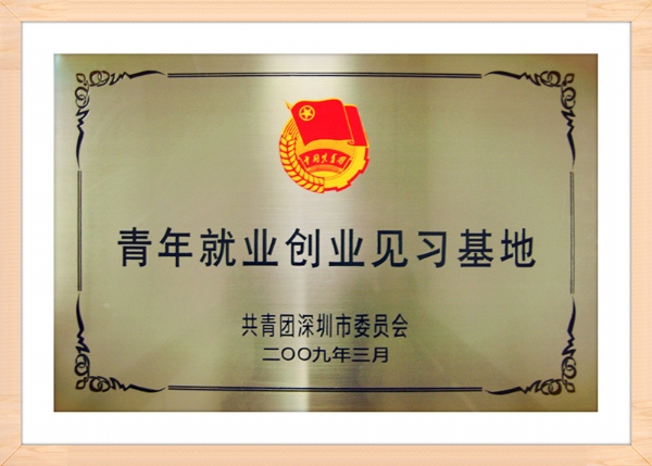 共青团深圳市委员会青年就业创业见习基地